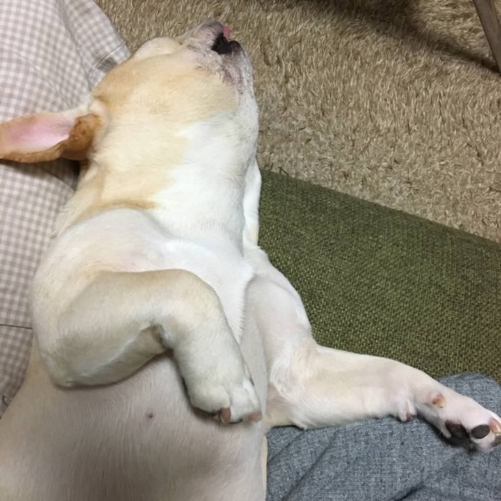 5eea606c 00d5 4235 ab10 c2eec0f5123e