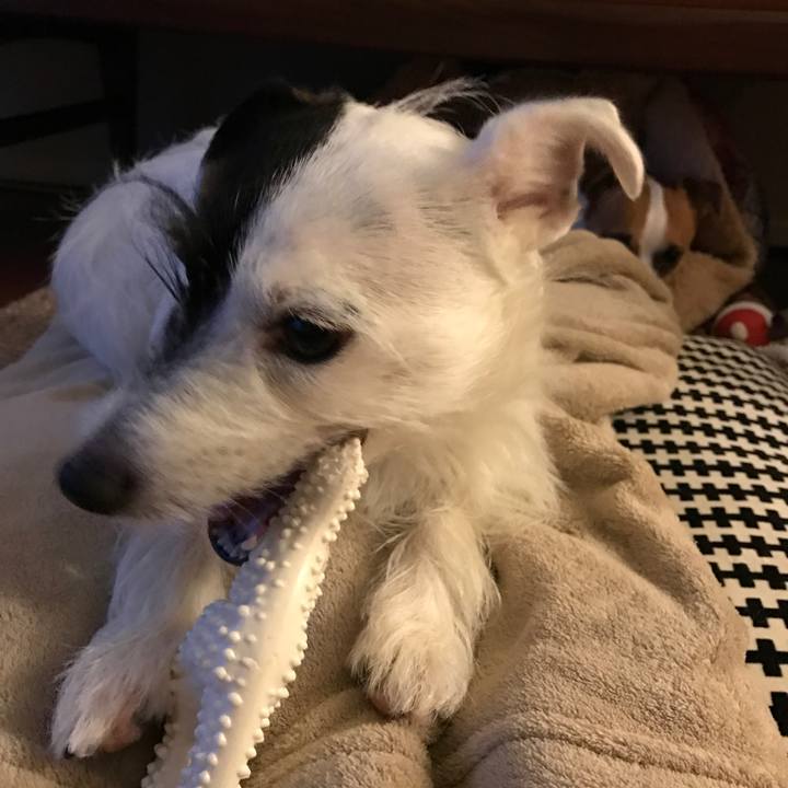 5eea6370 93f4 4548 ba13 b5be9e167872