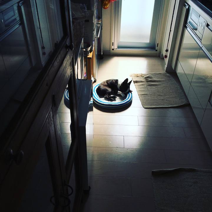 5eea92b8 de20 4b37 a6b9 52e501a426d1