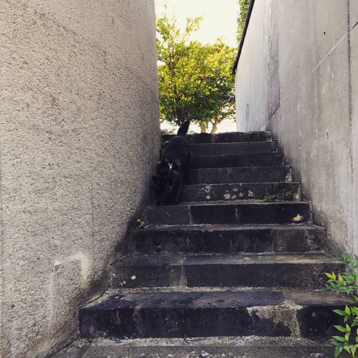 5eeab6e3 414a 40b3 83f1 9be6a858a802