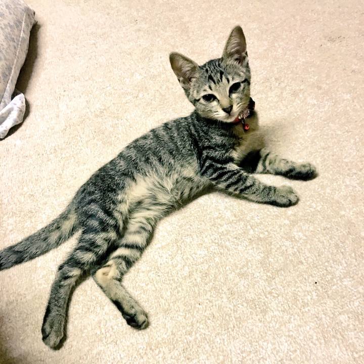 5eead02f eb20 427c 9ea6 fb96993f7845