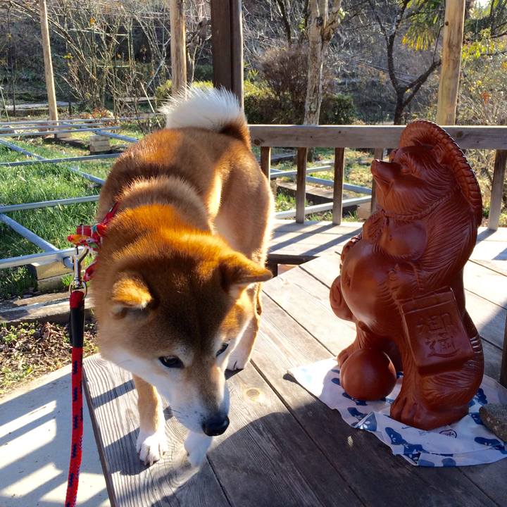 5eeb91fc f2ce 4c30 8941 0881dacea667