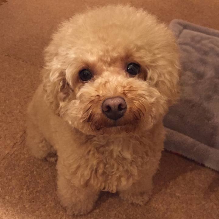 5eebd4a1 9e34 4319 a2e5 1a71dc26e3d4