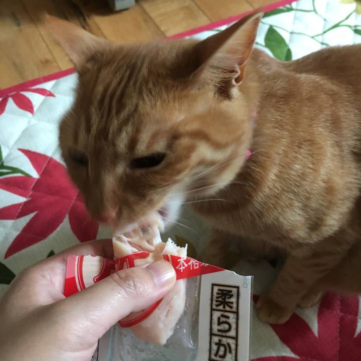 5eec951f 2298 4fdc bc1f 14d9aa695af2