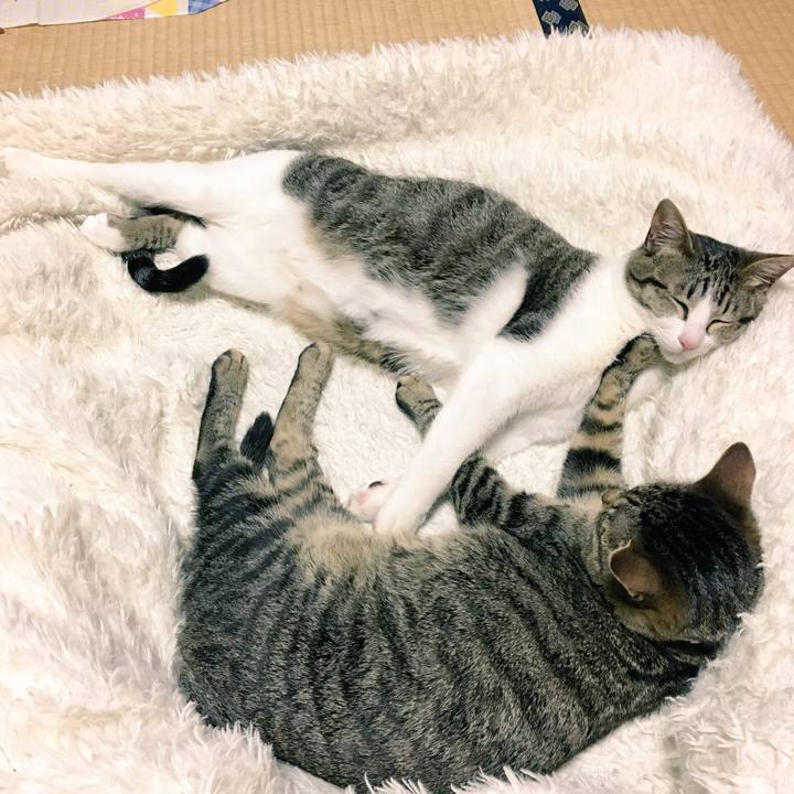 5eece974 880d 49e7 9d31 accb1ecbaee8