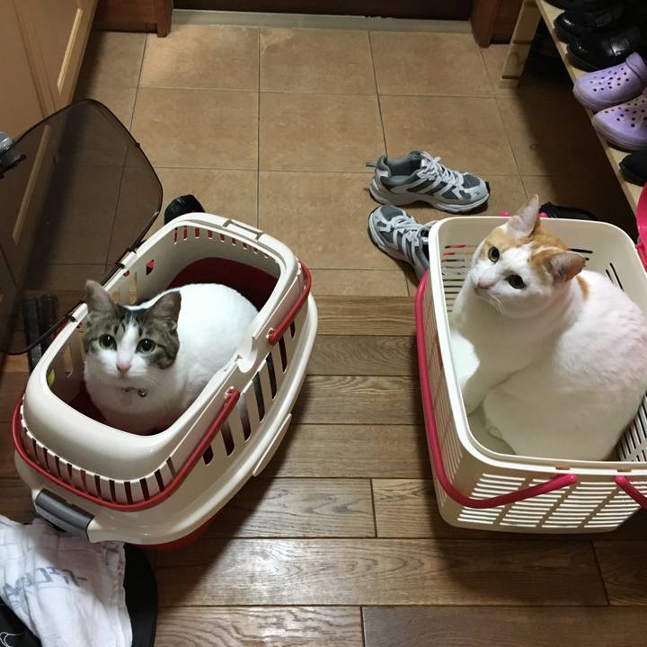 5eecf596 9689 4b97 8a49 4aa7314e2c66