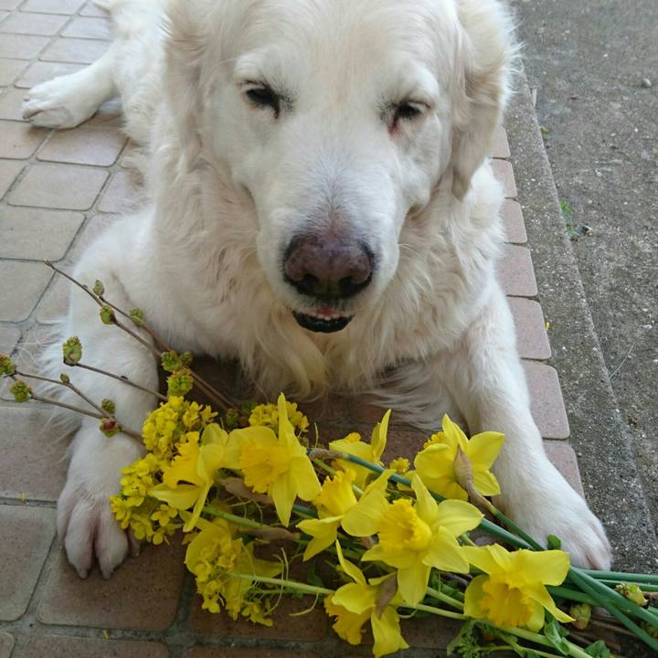 5eed6b9f 36ea 4d1a 830b 6dc9fbbac6c6