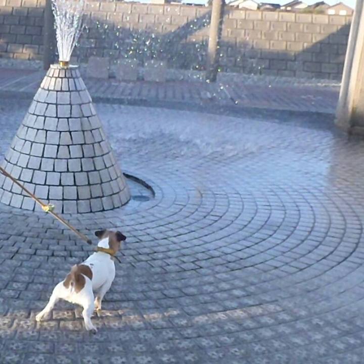 5eeda738 4d15 486c 89ad abb2c3bc76a4