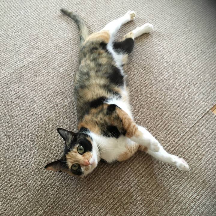 5eee10b6 b082 4fc5 b0d4 c047f52cafdb