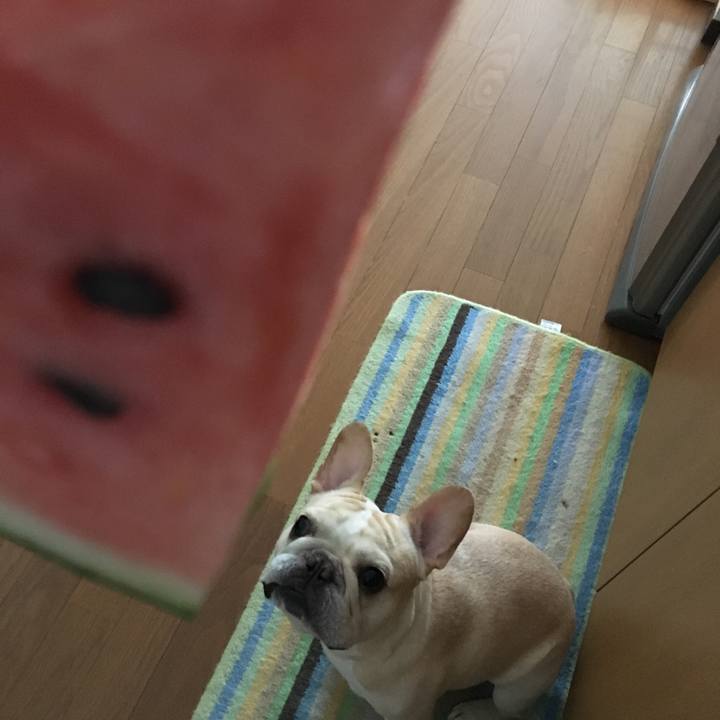 5eee8bb8 cbc1 4973 a75f 7f322c1dd109