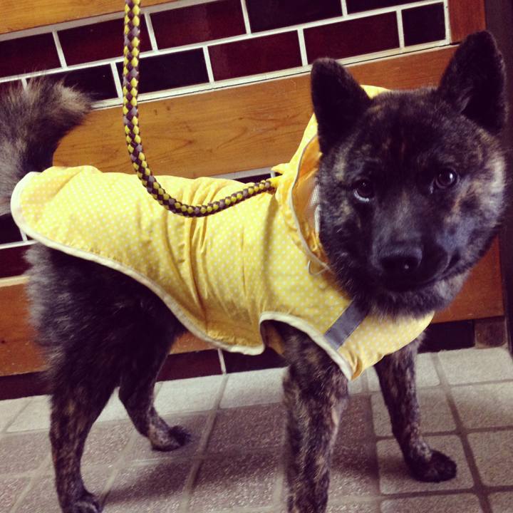 5eeeb776 1978 4d21 96dd ab6d67597748