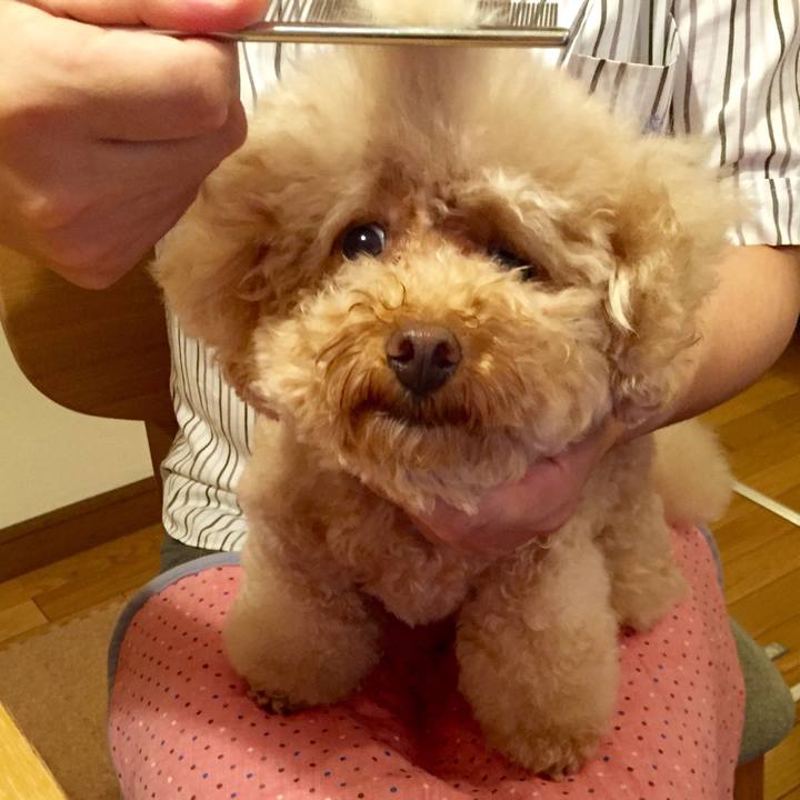 5eeedc84 ae53 4595 98af d9bd2a9d5f98