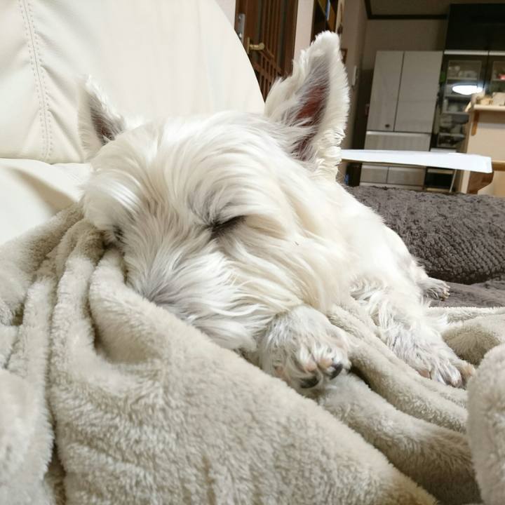 5eef2493 272a 4888 8e89 06fdac72168f