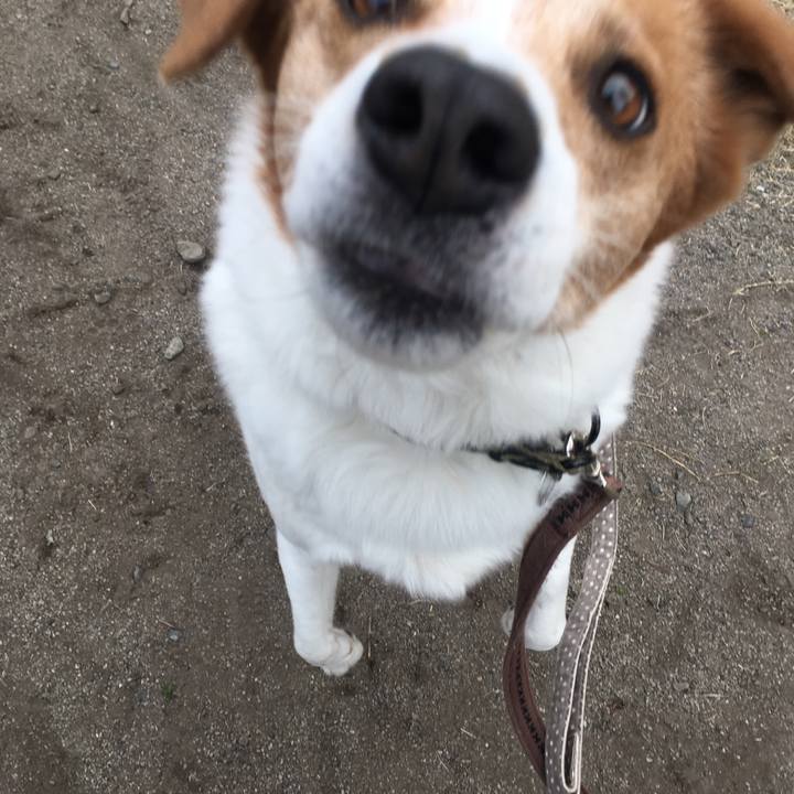 5eef5f95 2963 466c 8128 1eea35f7c97e