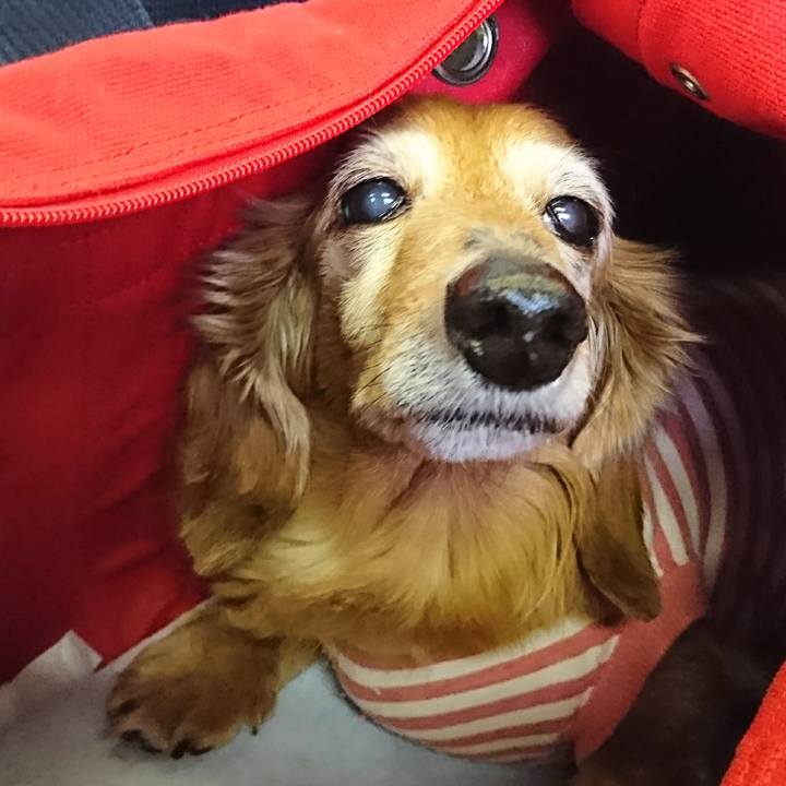 5eef662b 87e3 4fa5 86f2 1557bffbe5fe