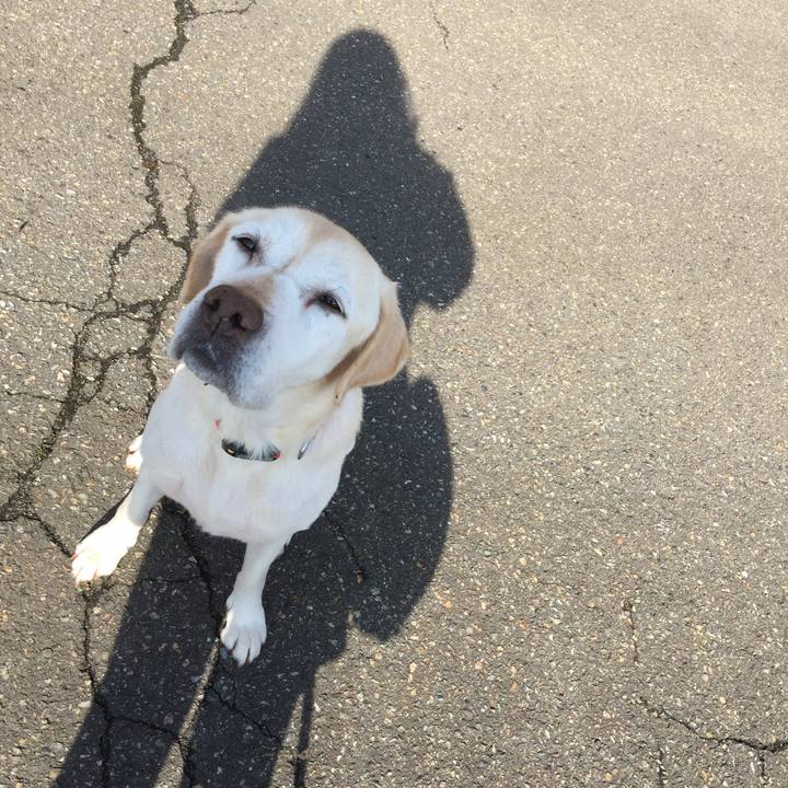 5eeffe7b a4c9 419b 9612 583c2e611910