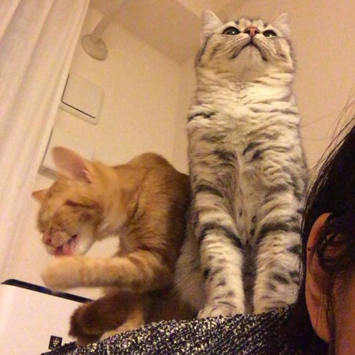 5ef00d46 bba7 4978 acce ac4ae65a9cee