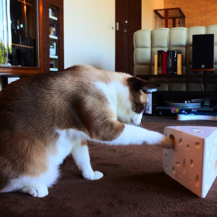 5ef07c07 3cae 4312 a5f4 01d3a8ed0cfb