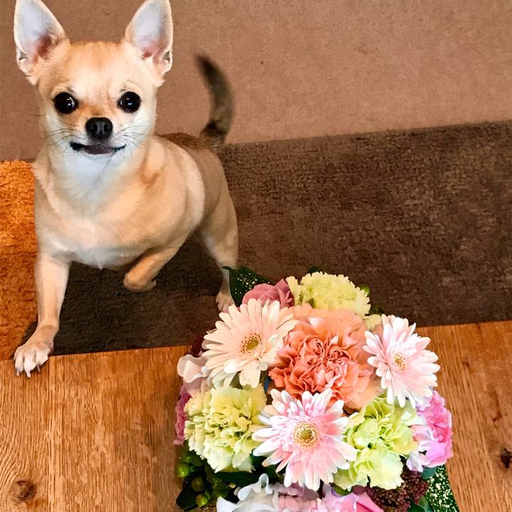 5ef088dc 2ebe 428a a15d 57e580f7db35