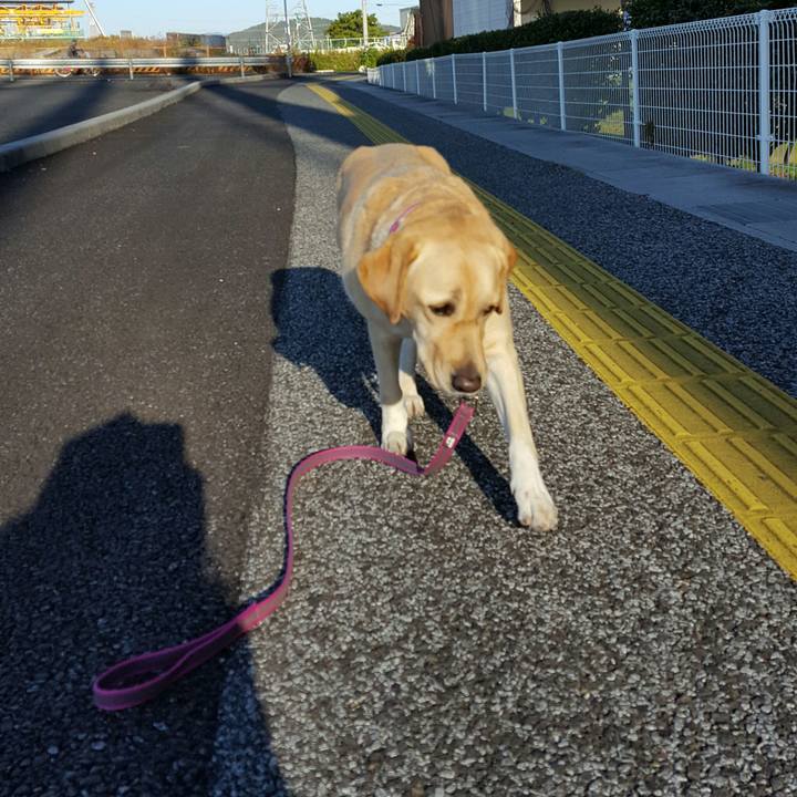 5ef0929d bcd8 4d33 a020 fd38339ab1e0