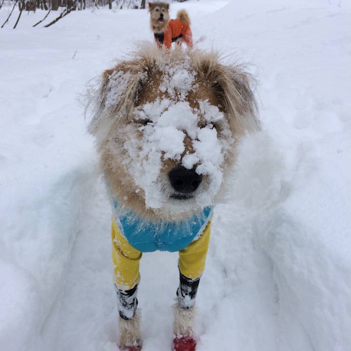 5ef236af 0f4c 4469 8268 5164d528147f