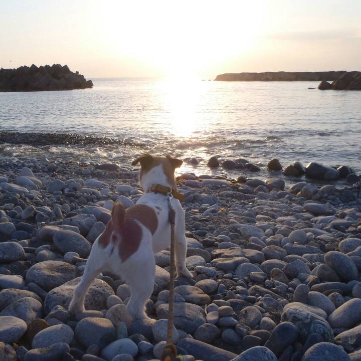 5ef2583d bd2a 4c6b b68f 30cde11539e1