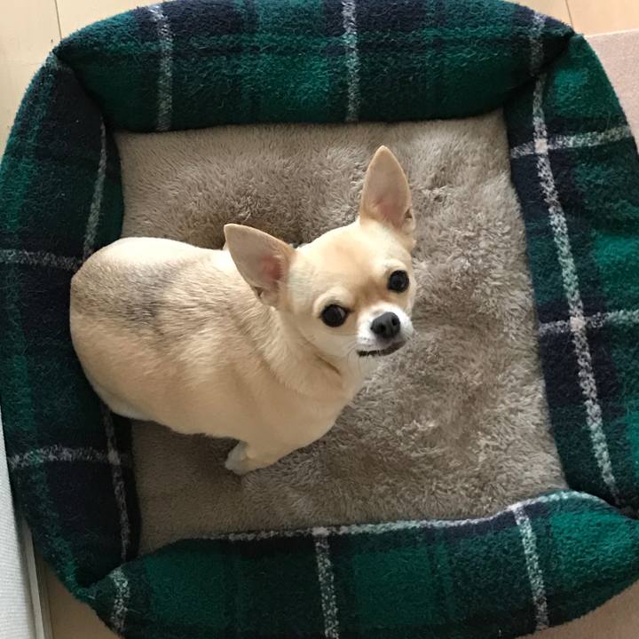 5ef3348a c68b 4a28 b1b3 9a21fed9729e