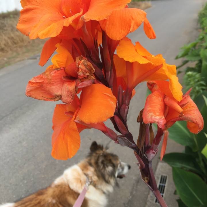 5ef3bc49 ca5c 4cd2 b979 e9e8da5122f0