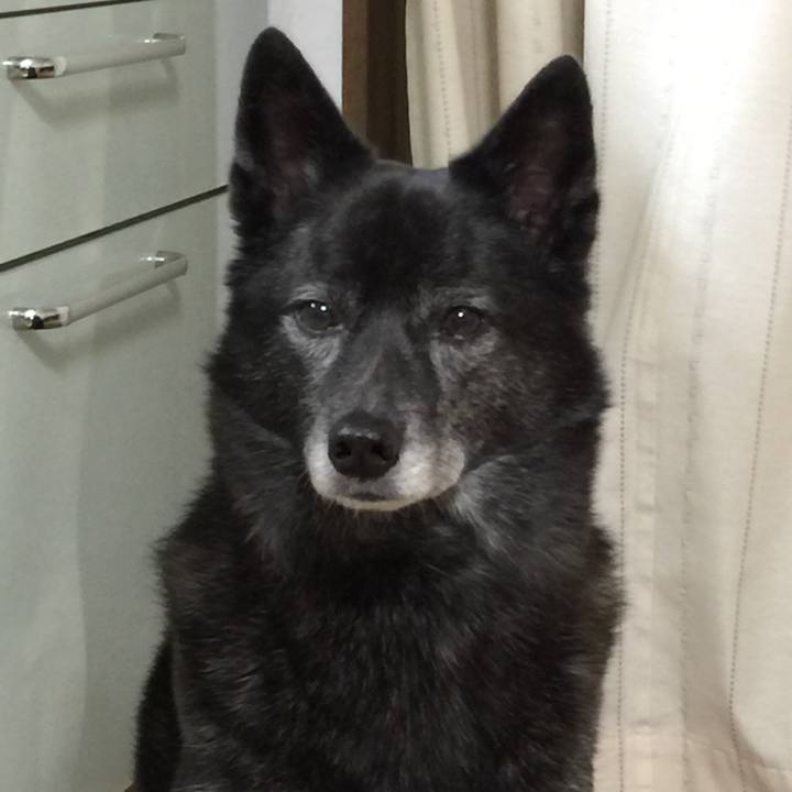 5ef3dc8f a408 41c3 9062 000bb2e759cf