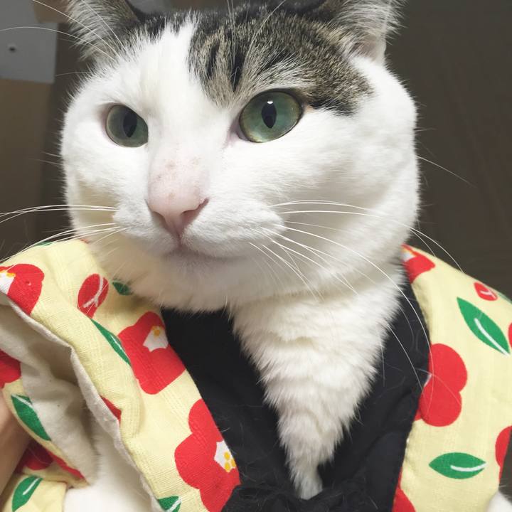 5ef3fa33 ffcb 42f3 a302 9a5ff7970469