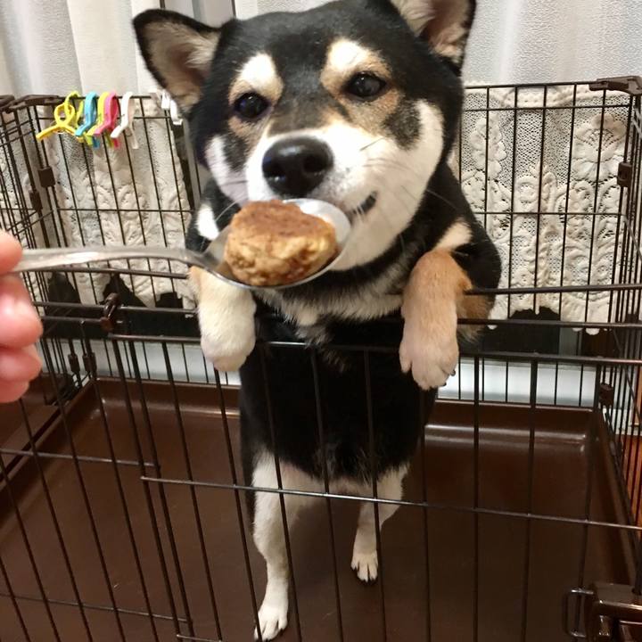 5ef3fb09 596a 4cab a128 770208d9e869