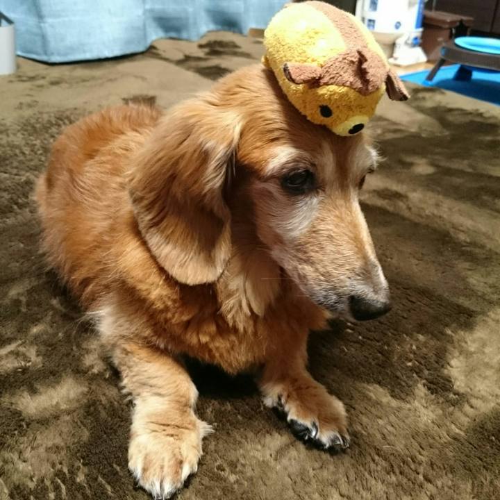 5ef42464 2e26 4f9a 8903 87e8f1a52bb9