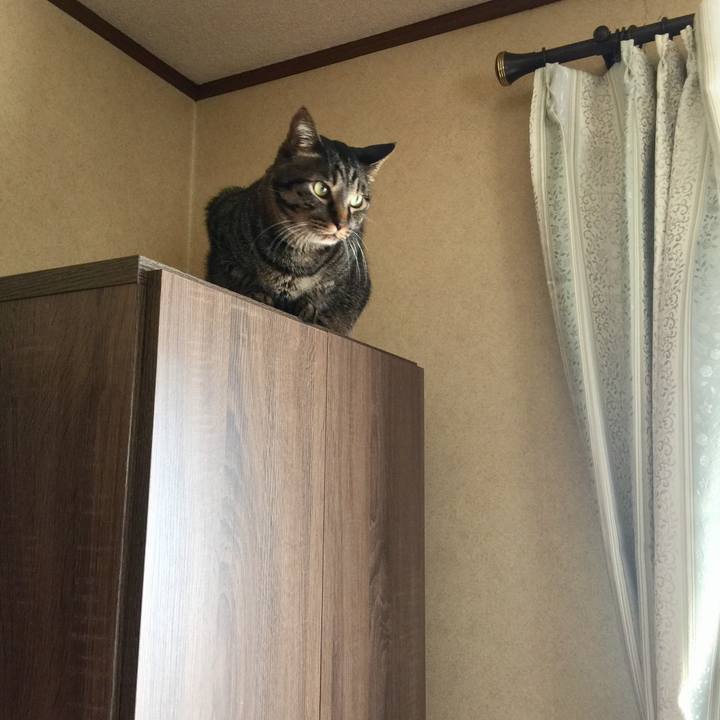 5ef44672 4325 409f 8882 47c464ca970b