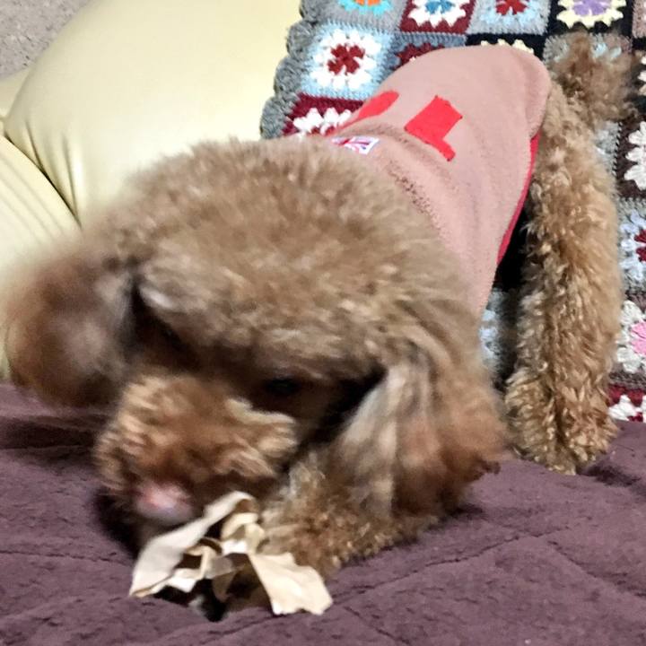 5ef53c53 56fb 4627 9ae6 9326f611a96b