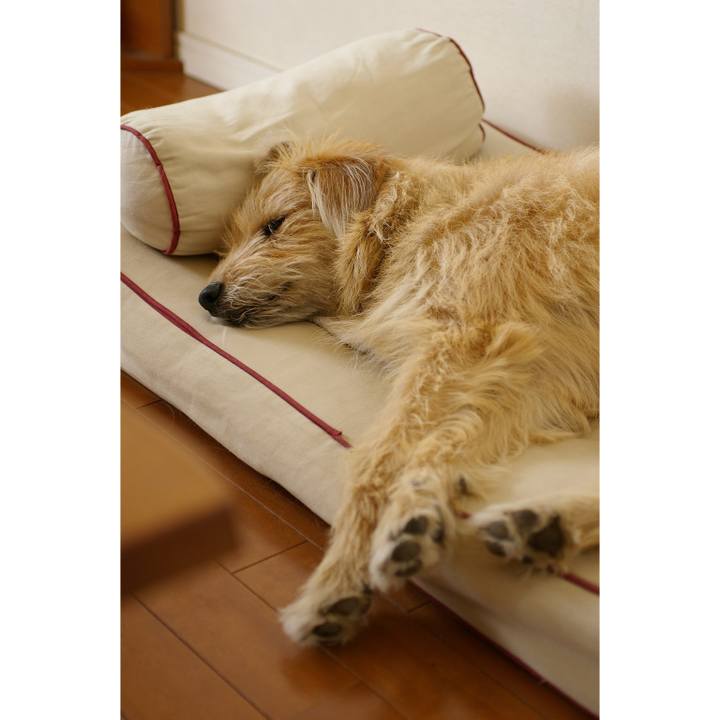 5ef55744 48e3 4876 9e80 d412ec944174