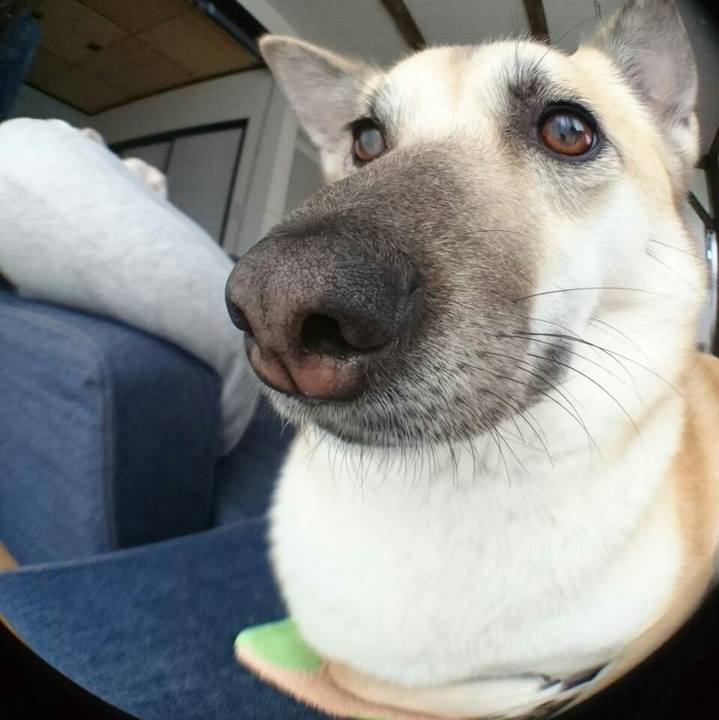 5ef60e56 870b 412f b4b6 766a4af7d964