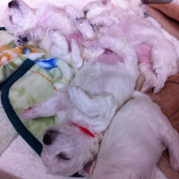 5ef6d6be 62b0 4bb8 b4a9 449b10e7d296