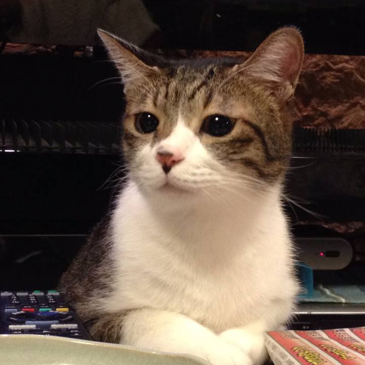 5ef704a4 9bfc 41eb b755 16dee850a145