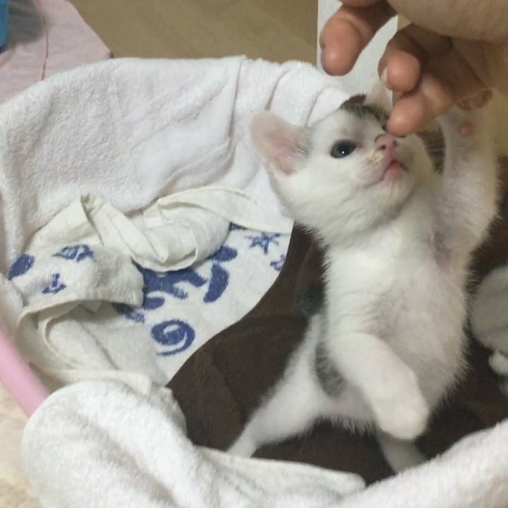 5ef74a31 0b42 49c1 92cb 1b54393f1e11