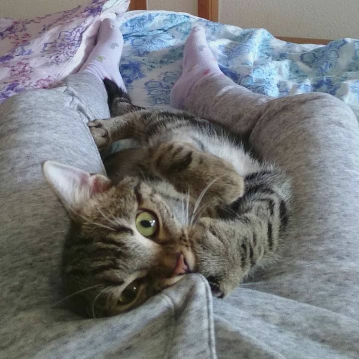 5ef78457 07d8 4732 8442 11482ed76bcf