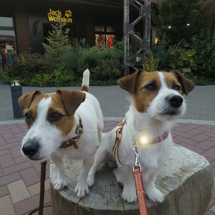 5ef78641 3f7f 460f bf7f 6f3e1e6e4f4b