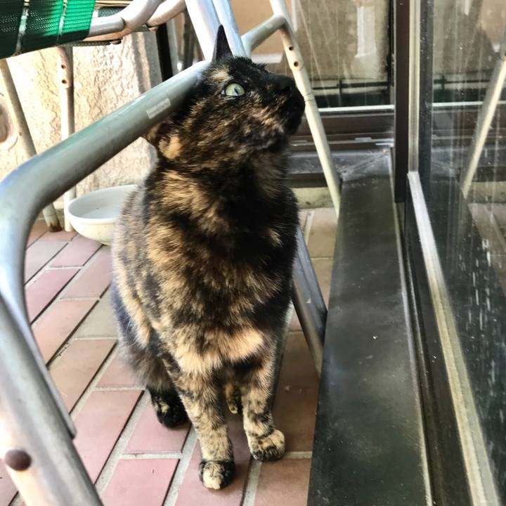 5ef7d6ae e915 4234 bf35 f05844d97f6e