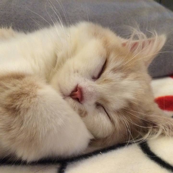 5ef82628 8c11 4e8d 890b 3a2857bf23a9