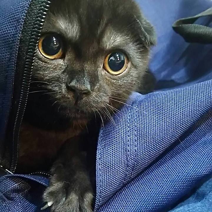 5ef84370 2359 43c9 a534 eca53667c5bb