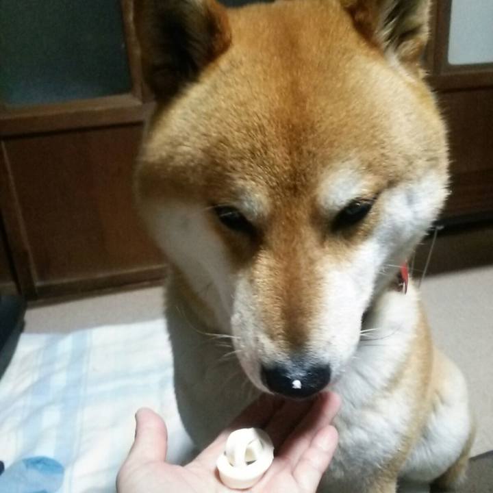 5ef8602b 5063 48d2 afb0 4272b7708a05