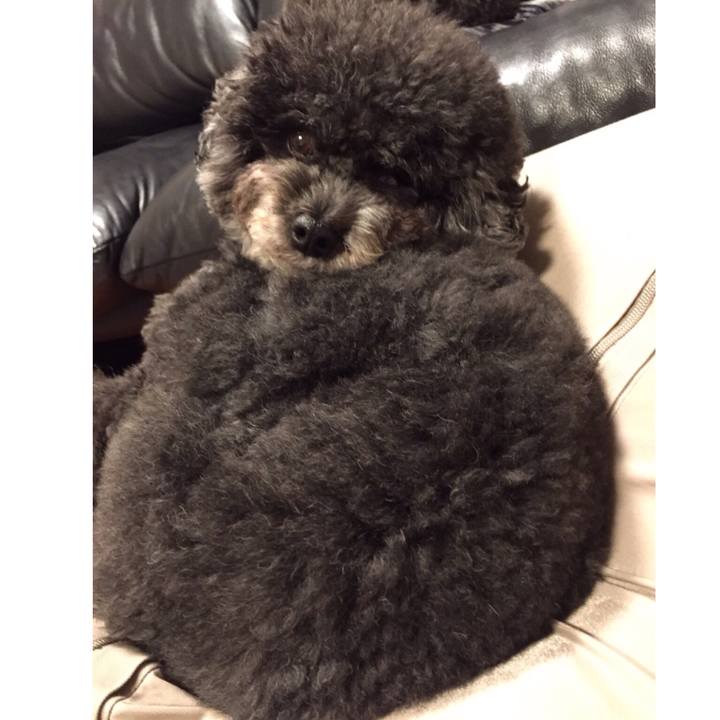 5ef874a7 002b 461d 9fcb 2b4e6843e167