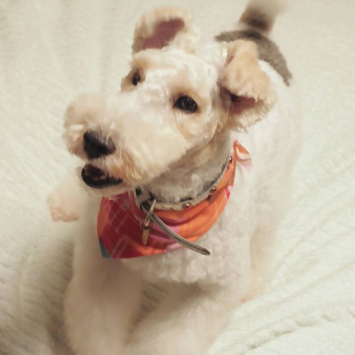 5ef8a8c4 6fa1 4115 8368 b1167ea05c82