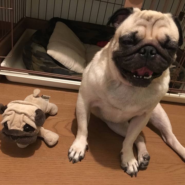 5ef8ec7e bb1a 4f1b 8dc1 dc9dc4827183