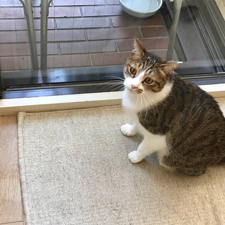 5ef90dd6 5602 458c 85fc ba71c40cf243