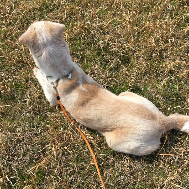 5efa71c3 218f 40ed bdb2 bef34ce96ee1